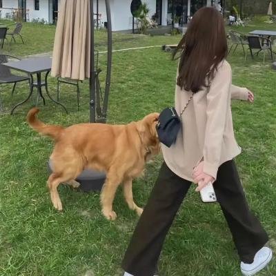 被迫成为反派赘婿第二季